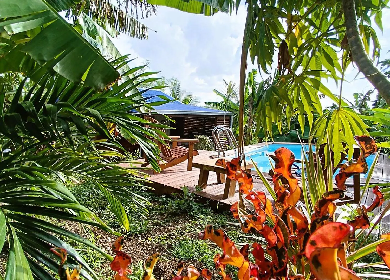 Le Paradis Des Colibris Gite Creole Avec Piscine Table Dhotes Et Nature A Anse Bertrand 0*, Anse-Bertrand