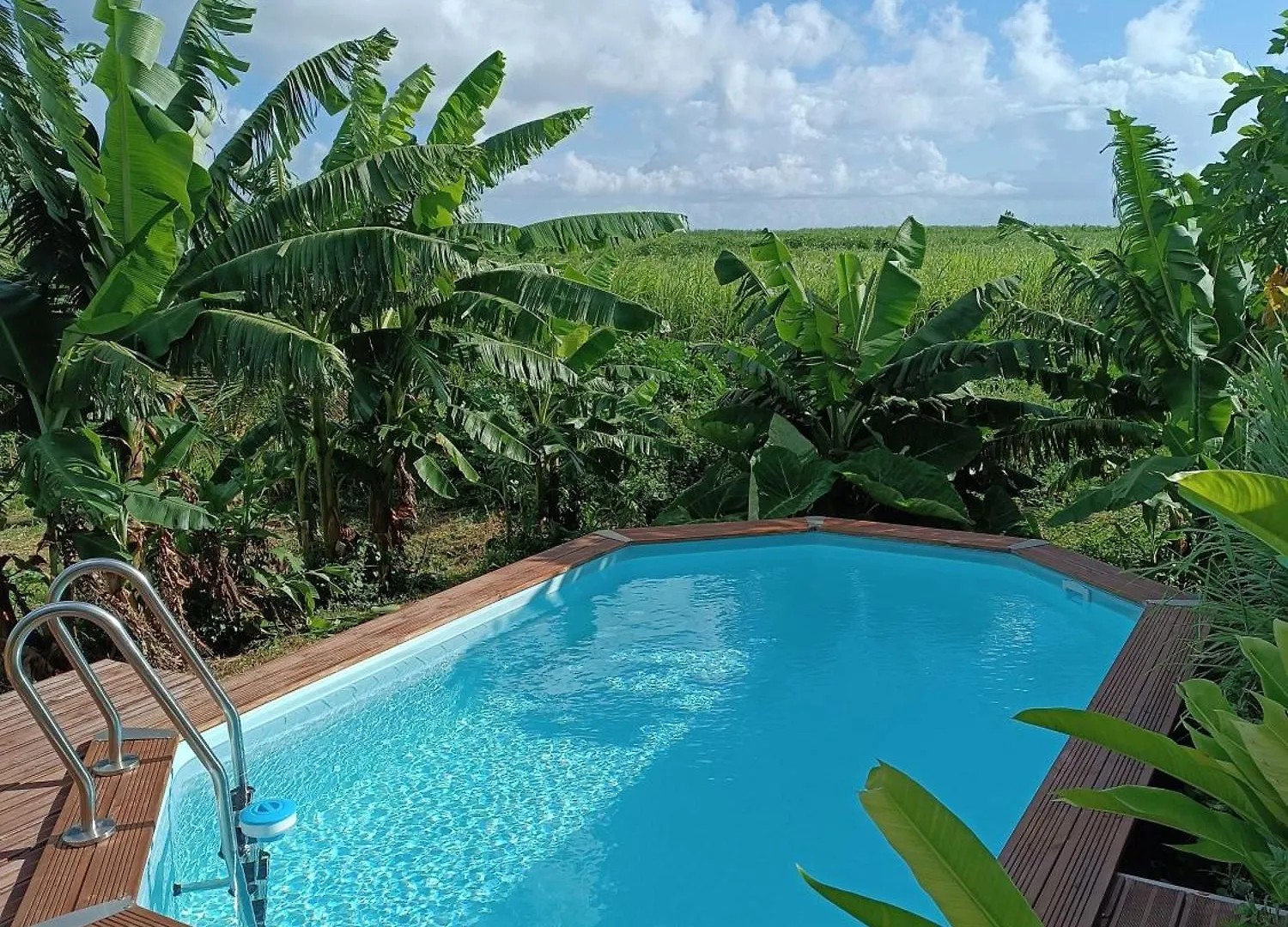 Le Paradis Des Colibris Anse-Bertrand Guadeloupe